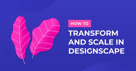 How to Use Designscape 的图像结果