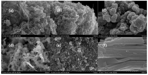 Fabrication of Flexible, Lightweight, Magnetic Mushroom Gills and Coral ...