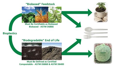 Bioplastics 101 | Learn About Bioplastics - Information from the Experts