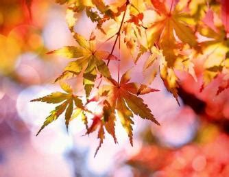 Class Schedule | Saddleback College