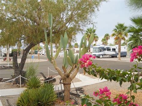 HOLIDAY PALMS RV PARK (Quartzsite) - Campground Reviews & Photos ...
