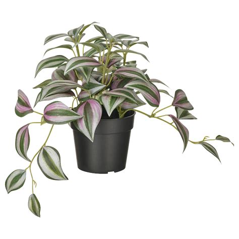 FEJKA artificial potted plant, in/outdoor Spiderwort, 9 cm (3 ½") - IKEA
