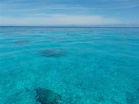 ADRENALIN FIJI (2026) All You Need to Know BEFORE You Go (with Photos ...