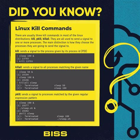 Linux kill commands - BISS - Kill Command 2