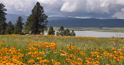 Best things to do in Greer and Arizona's White Mountains