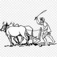 जागतिकीकरणामुळे शेतकऱ्यांची कोंडी