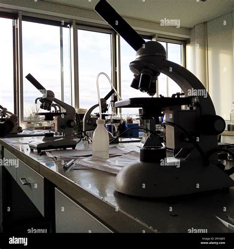 Image result for Using a Microscope Lab