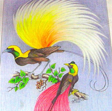 Image result for Beginner Pyrography Patterns