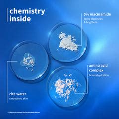 Buy 5% Niacinamide Face Serum With Rice Water for Brighter Skin