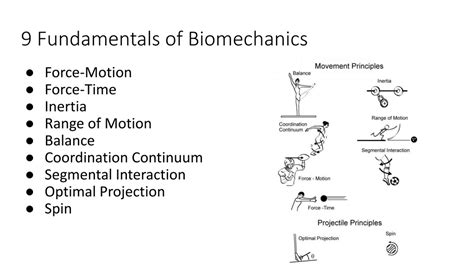 What Is Biomechanics In Exercise Science at Gary Delariva blog