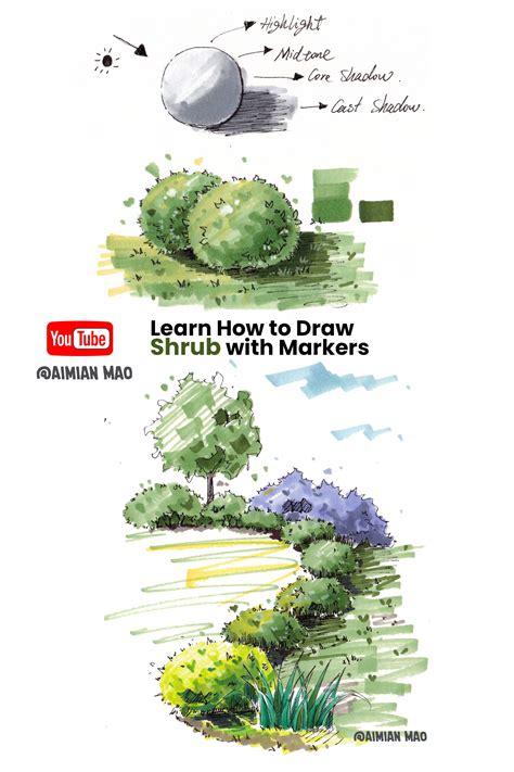 How To Draw A Shrub - Surrealist Drawing Techniques