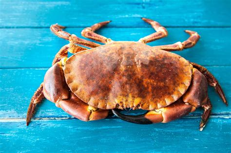 Whole Cooked Crab - Fresh Crab and seafood | Dorset Shellfish