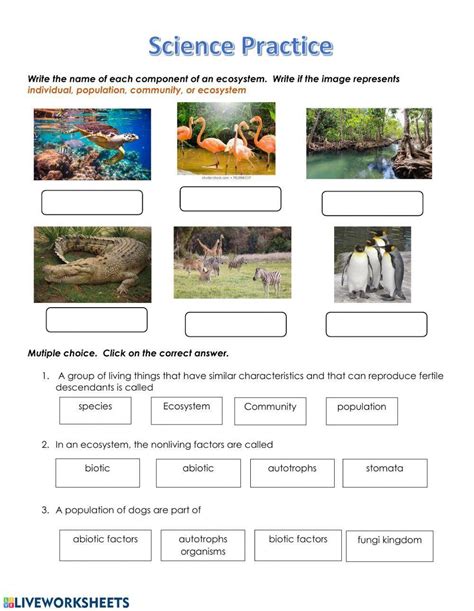Ecosystem Worksheet 的图像结果