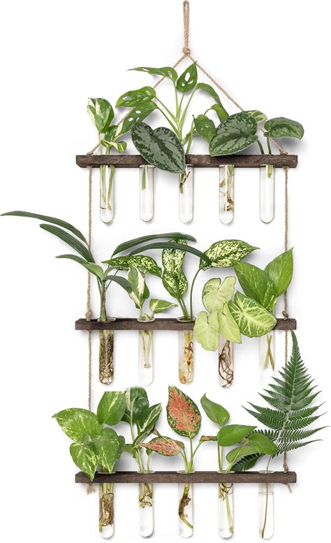 Buy Dahey Plant Propagation Tubes Wall Hanging Planter Terrarium with ...
