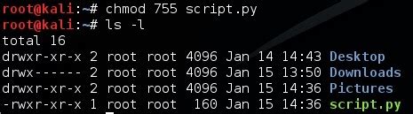 Image result for Structure Python Script