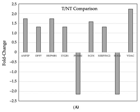 Iron Supplementation Increases Tumor Burden and Alters Protein ...