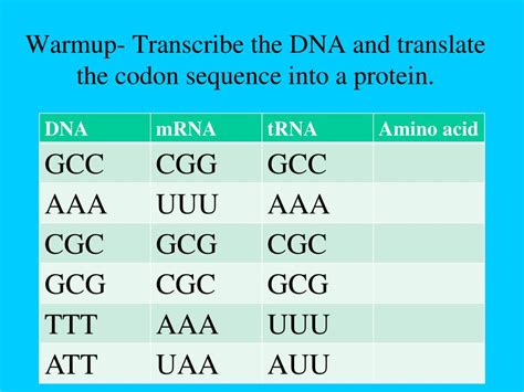 Image result for DNA Function