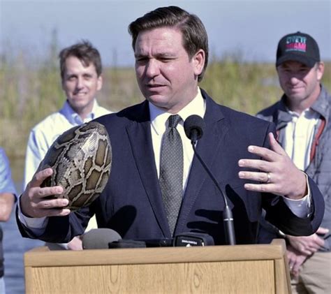 Florida Python Roundup 的图像结果