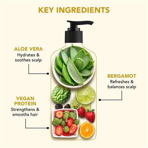 Hydrate & Soften Shampoo with Aloe Vera & Vegan Protein – Botanic Hearth