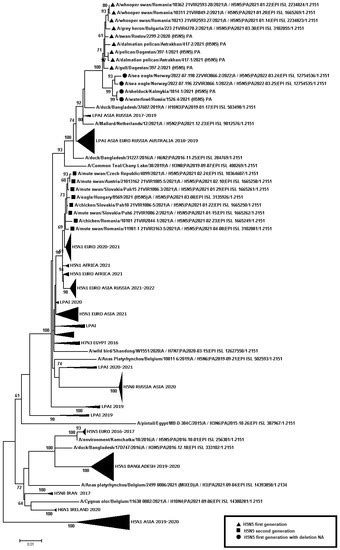 Viruses | Special Issue : Molecular Biology of Influenza Viruses