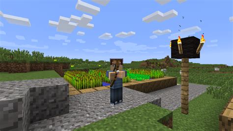 Animation Player Mod Minecraft Java 的图像结果