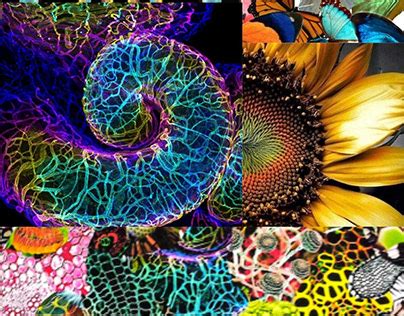 Image result for Digital Pattern Making