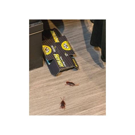 How to Make a Cockroach Trap 的图像结果