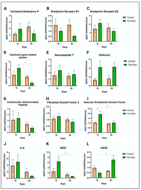 Tilapia Fish Skin Treatment of Third-Degree Skin Burns in Murine Model