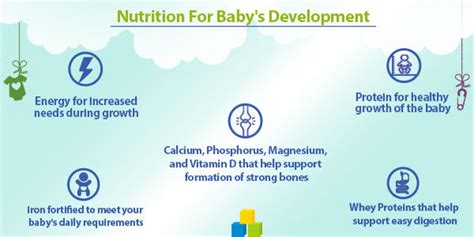 Buy Dexolac High Protein Nutritional Supplement - 2 Follow-Up Formula ...