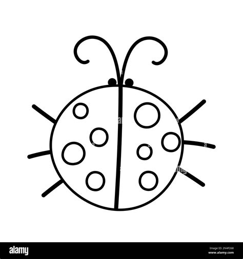 Clipart Ladybug Black And White
