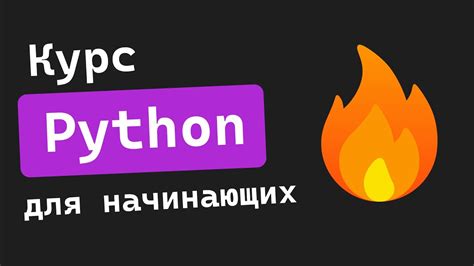 Курс Python для начинающих + ПРОЕКТ АНАЛИТИКА + ДОМАШНЕЕ ЗАДАНИЕ - YouTube