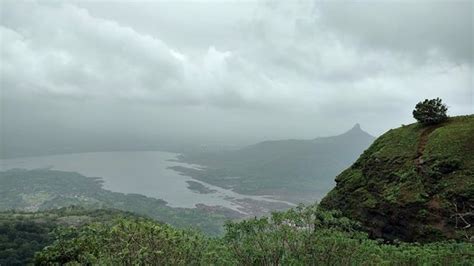 A nice walk / horse-ride - Reviews, Photos - One Tree Hill Point ...