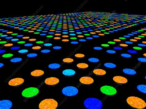 DNA Microarray Modle 的图像结果