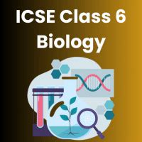 Class 6 revision notes - Best Class 6 Courses - All Subjects