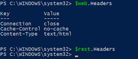 Invoke-RestMethod 的图像结果