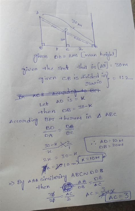 a man is standing between two lamp posts on a horizontal line dividing ...