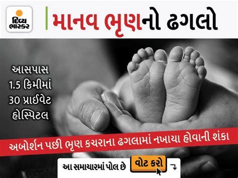 17 Fetuses Found Dumped In West Bengal's Howrah 10 girls and 7 boys ...