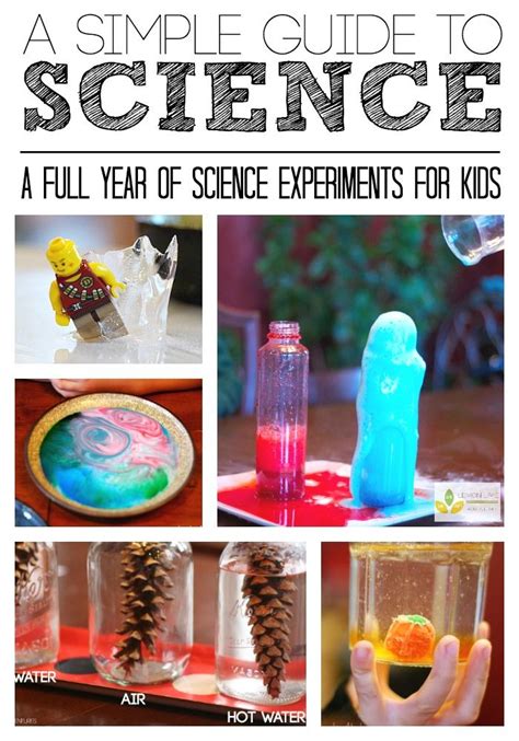 Image result for Science Lessons for First Graders