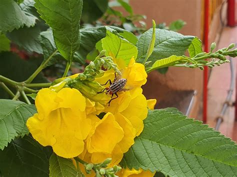 Samsung Note 10 Tutorials 的图像结果