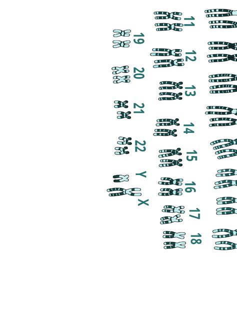 Image result for Research Code Sheet Example