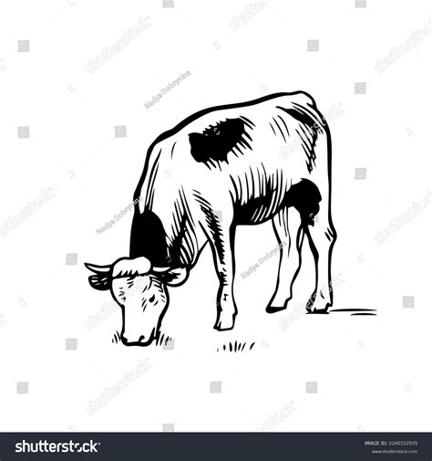 Cow Eating Grass Hand Drawn Line Stock Vector (Royalty Free) 2240152935 | Shutterstock