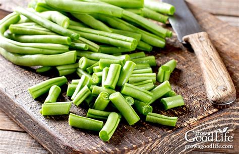 Canning String Beans Recipe 的图像结果