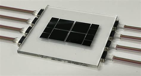 Image result for What Is a Study Guide Example