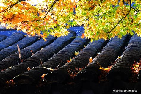 重读王维：“空山新雨后，天气晚来秋”，其实空山不空，晚秋不晚_景色