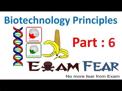 Tools of Genetic Engineering Video Lecture - NEET