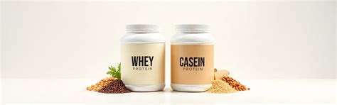 Whey Protein and Casein: Can you combine? – NAKPRO NUTRITION