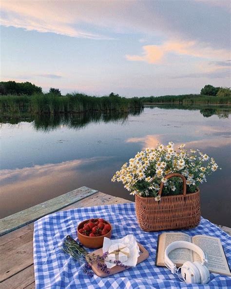 33 Picnic aesthetic ideas | picnic, picnic inspiration, picnic date