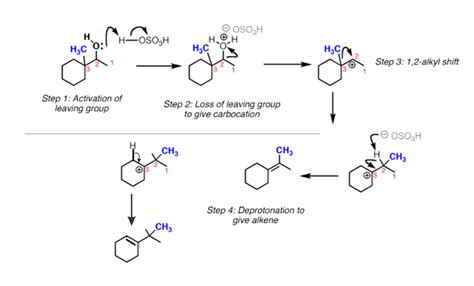 Image result for Reaction Mechanisms Examples