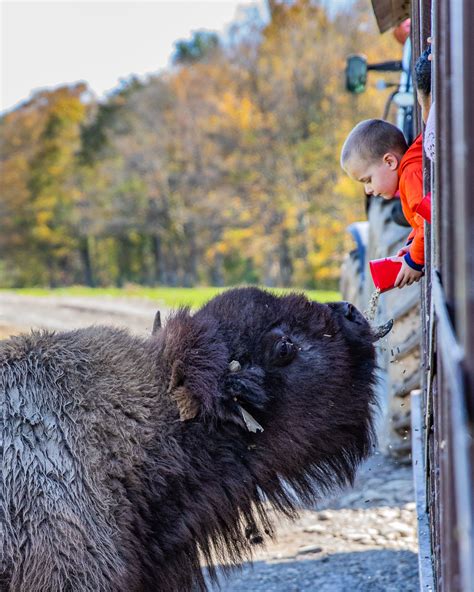 Hidden Valley Animal Adventure