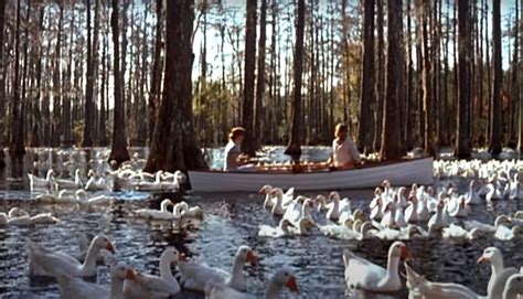 Image result for The Notebook Anne